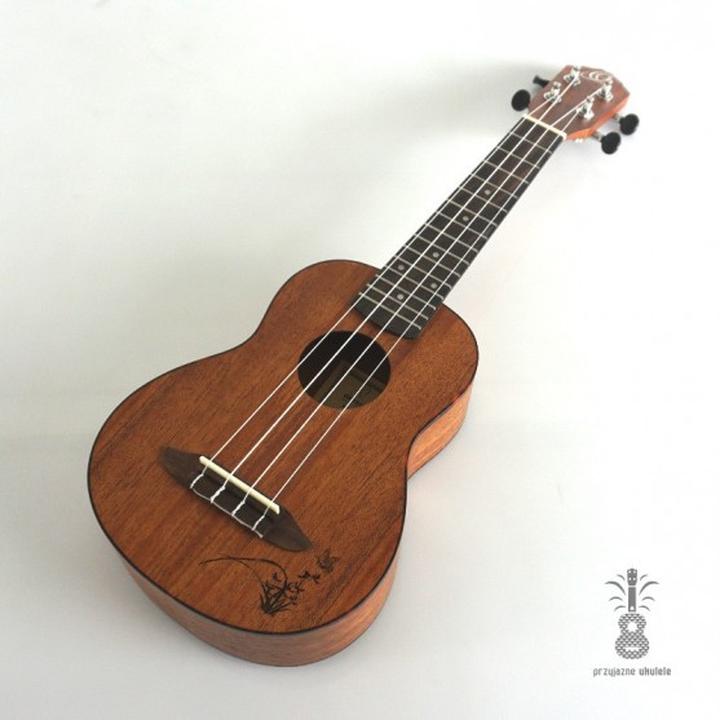 Rodzaje ukulele i różnice
