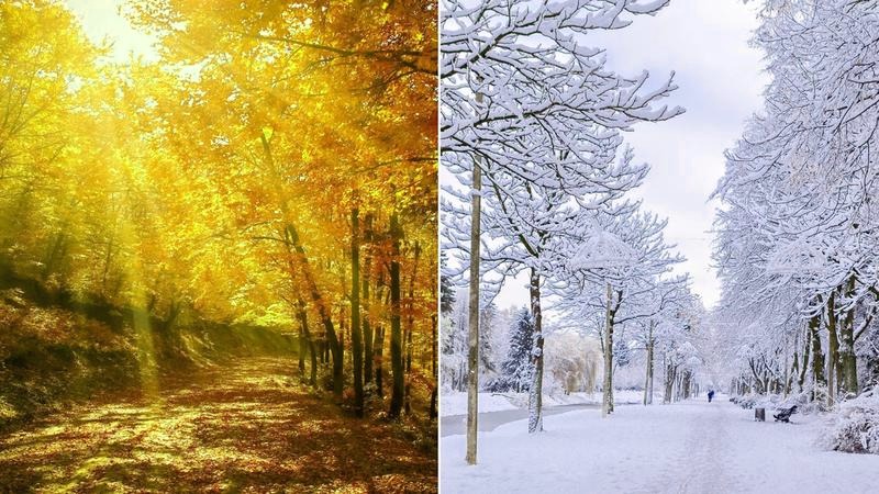 Jesienna muzyka klasyczna, która otula nostalgiczną aurą i wprowadza w spokój