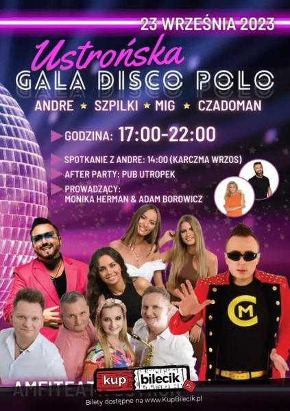 Koszt koncertu disco polo