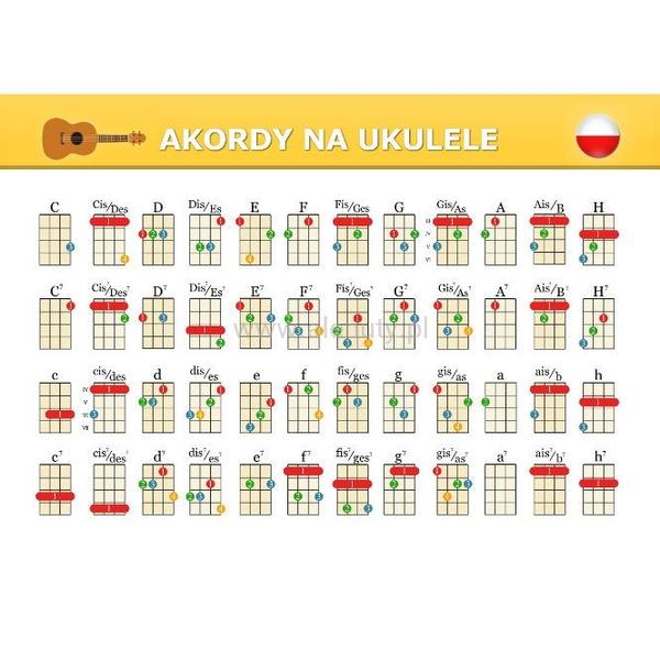 Akordy dla początkujących