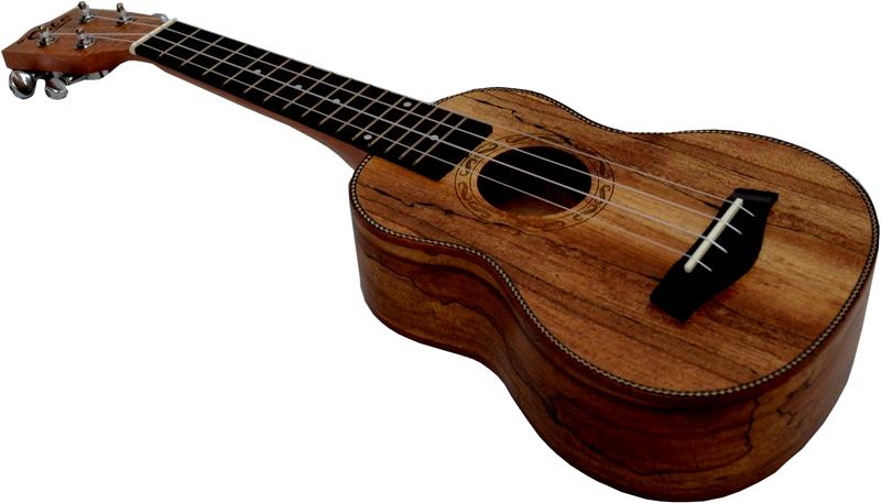 Wybór ukulele koncertowego
