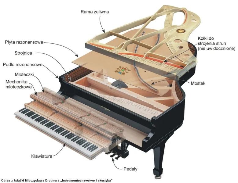 Z czego składa się fortepian? Budowa instrumentu od środka